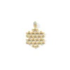 Gold Star of Solidarity Pendant